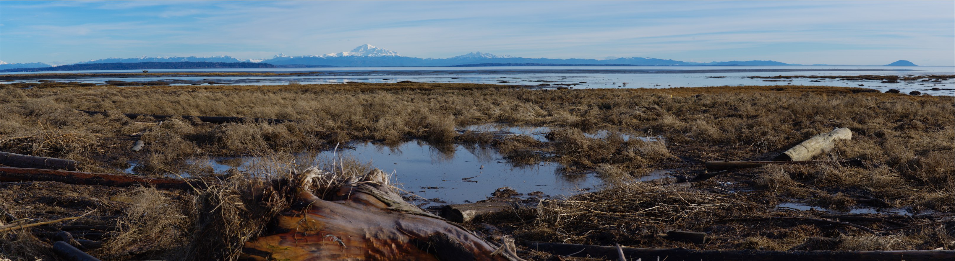 Boundary Bay 2